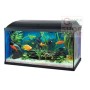 PACIFIC SET ACQUARIO CM. 50X25X30 LT. 37,5