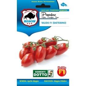 BISON SEMI DI POMODORO VALIDO F1 DATTERINO BISON SEMI DI POMODORO VALIDO F1 DATTERINO