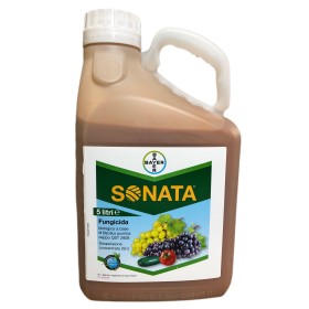 BAYER SONATA SC FUNGICIDA BIOLOGICO ANTIOIDICO A BASE DI BACILLUS PUMILUS LT. 5 BAYER SONATA SC FUNGICIDA BIOLOGICO ANTIOIDICO A BASE DI BACILLUS PUMILUS LT. 5