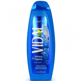 VIDAL BAGNOSCHIUMA POLAR ICE 500 ML VIDAL BAGNOSCHIUMA POLAR ICE 500 ML