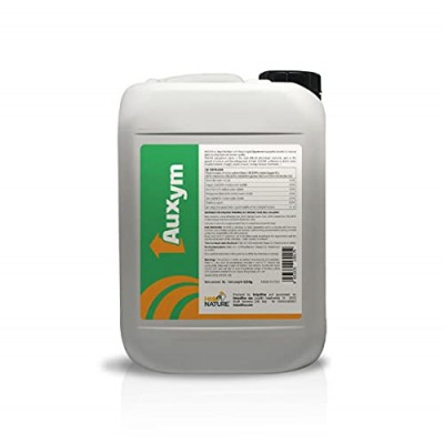 ITALPOLLINA AUXYM LT.1 FITOSTIMOLANTE di Origine VEGETALE