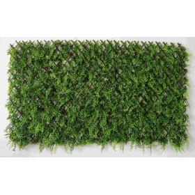 ARELLA CON STECCATO PIU ERBA SEMPREVERDE mt.1X2 ARELLA CON STECCATO PIU ERBA SEMPREVERDE mt.1X2