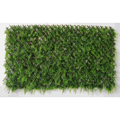 ARELLA CON STECCATO PIU ERBA SEMPREVERDE mt.1X2