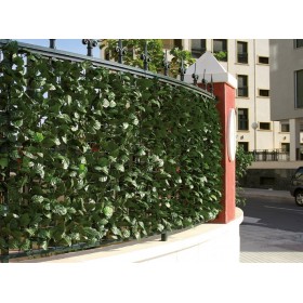 ARELLE SEMPREVERDI LAURO mt. 1,00x3,00. ARELLE SEMPREVERDI LAURO mt. 1,00x3,00.