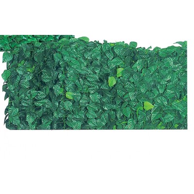 ARELLE SEMPREVERDI LAURO mt. 1,50x20.