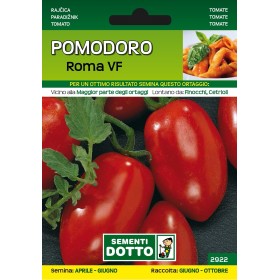DOTTO SEMI DI POMODORO ROMA VF DOTTO SEMI DI POMODORO ROMA VF