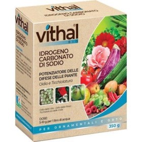 FUNGICIDA IDROGENO CARBONATO SODIO VITHAL BIO KB GR. 350 FUNGICIDA IDROGENO CARBONATO SODIO VITHAL BIO KB GR. 350