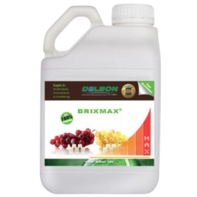 DELBON BRIXMAX Biostimolante speciale Brix LT. 5 DELBON BRIXMAX Biostimolante speciale Brix LT. 5