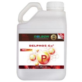 DELBON DELPHOS CA Concentrato di fosforo e calcio LT. 5 DELBON DELPHOS CA Concentrato di fosforo e calcio LT. 5