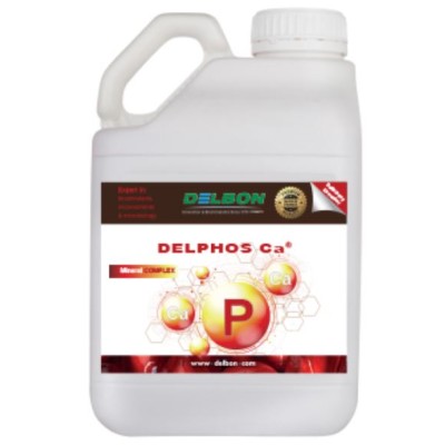 DELBON DELPHOS CA Concentrato di fosforo e calcio LT. 5