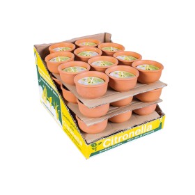 VASETTO TERRACOTTA CITRONELLA DIAM. CM. 9x4,5h. VASETTO TERRACOTTA CITRONELLA DIAM. CM. 9x4,5h.