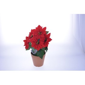 VASO STELLA DI NATALE M. 887 ROSSO VASO STELLA DI NATALE M. 887 ROSSO