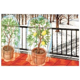 CAPPUCCIO ANTIGELO TNT PROTEZIONE PIANTE BIANCO GR/MQ 17  CM 70x80h. PZ. 5 CAPPUCCIO ANTIGELO TNT PROTEZIONE PIANTE BIANCO GR/MQ 17  CM 70x80h. PZ. 5