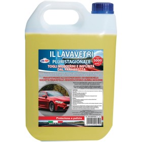 LIQUIDO LAVAVETRI RIMUOVI INSETTI lt. 5 LIQUIDO LAVAVETRI RIMUOVI INSETTI lt. 5