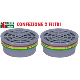 DELTAPLUS M6000E FILTRO CON ATTACCO A BAIONETTA PER MASCHERA ANTIGAS ABEK A1B1E1K1 CONF. 2 DELTAPLUS M6000E FILTRO CON ATTACCO A BAIONETTA PER MASCHERA ANTIGAS ABEK A1B1E1K1 CONF. 2