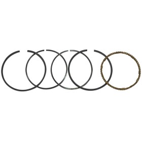 Fascia elastica completa motore Kasei 38 cc 4 tempi Fascia elastica completa motore Kasei 38 cc 4 tempi