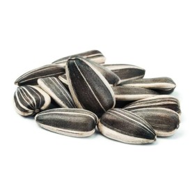 BONUS SEMI GIRASOLE STRIATO MEDIO KG. 1 BONUS SEMI GIRASOLE STRIATO MEDIO KG. 1