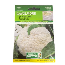 SEMI DI CAVOLFIORE DI VERONA TARDIVO SEMI DI CAVOLFIORE DI VERONA TARDIVO