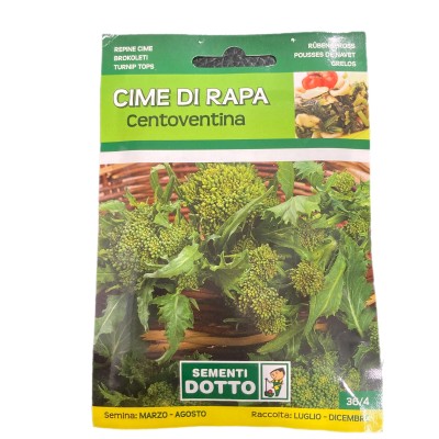 SEMI DI CIME DI RAPA 120 GG.