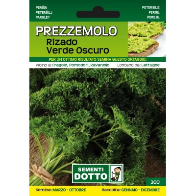 SEMI DI PREZZEMOLO RIZADO VERDE SCURO