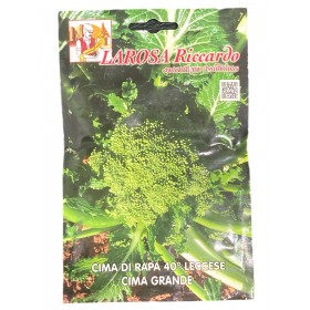 LAROSA SEMI CIME DI RAPA 40 GIORNI LECCESE CIMA GRANDE LAROSA SEMI CIME DI RAPA 40 GIORNI LECCESE CIMA GRANDE