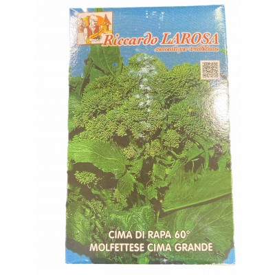 LAROSA SEMI CIME DI RAPA 60 GIORNI MOLFETTESE CIMA GRANDE GR. 500