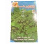 LAROSA SEMI CIME DI RAPA 60 GIORNI MOLFETTESE CIMA GRANDE GR. 500