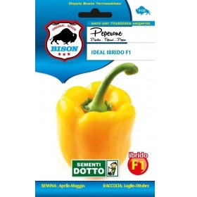BISON SEMI DI PEPERONE IDEAL IBRIDO F1 BISON SEMI DI PEPERONE IDEAL IBRIDO F1