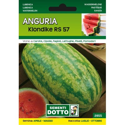 SEMI DI ANGURIA KLONDIKE