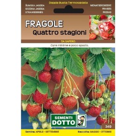 DOTTO SEMI DI FRAGOLE QUATTRO STAGIONI RIFIORENTI DOTTO SEMI DI FRAGOLE QUATTRO STAGIONI RIFIORENTI