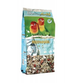 BONUS GOLD MANGIME PER INSEPARABILI GR. 750 BONUS GOLD MANGIME PER INSEPARABILI GR. 750