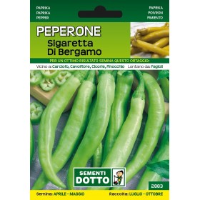 DOTTO SEMI DI PEPERONE SIGARETTA DI BERGAMO DOTTO SEMI DI PEPERONE SIGARETTA DI BERGAMO