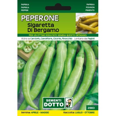 DOTTO SEMI DI PEPERONE SIGARETTA DI BERGAMO