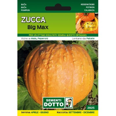DOTTO SEMI DI ZUCCA BIG MAX