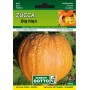 DOTTO SEMI DI ZUCCA BIG MAX