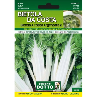 SEMI DI BIETOLA DA COSTA BIONDA A COSTA ARGENTATA 2 DA GR. 500