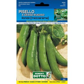 SEMI DI PISELLO MEZZA RAMA RONDO KG. 1 SEMI DI PISELLO MEZZA RAMA RONDO KG. 1