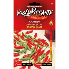 VOGLIA PICCANTE SEMI DI PEPERONCINO PICCANTE BAHIAN SAUCE VOGLIA PICCANTE SEMI DI PEPERONCINO PICCANTE BAHIAN SAUCE