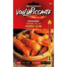 VOGLIA PICCANTE SEMI DI PEPERONCINO PICCANTE ORANGE GLOW VOGLIA PICCANTE SEMI DI PEPERONCINO PICCANTE ORANGE GLOW