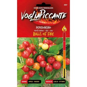 VOGLIA PICCANTE SEMI DI PEPERONCINO PICCANTE BALLS OF FIRE VOGLIA PICCANTE SEMI DI PEPERONCINO PICCANTE BALLS OF FIRE