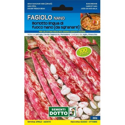 SEMI DI FAGIOLO BORLOTTO NANO LINGUA DI FUOCO GR. 250