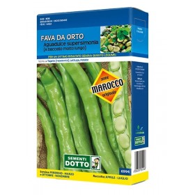 SEMI DI FAVA SUPERAGUADULCE DOTTO KG. 1 SEMI DI FAVA SUPERAGUADULCE DOTTO KG. 1
