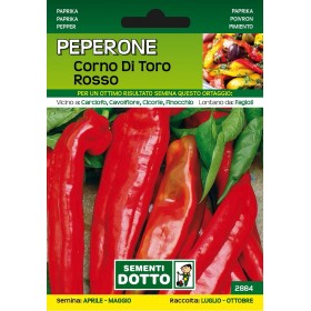 SEMI DI PEPERONE CORNO DI TORO ROSSO SEMI DI PEPERONE CORNO DI TORO ROSSO