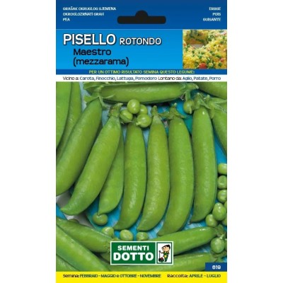 SEMI DI PISELLO ROTONDO MAESTRO MEZZA RAMA GR. 500