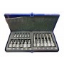 SET SERIE 19 INSERTI A BUSSOLA TORX ATTACCO 1/4 E 1/2