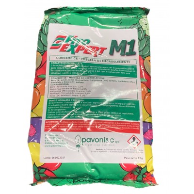 PAVONI M1 KG.1