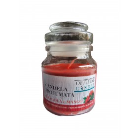 Candela profumata Fragola e Mango con bicchiere cm. 7x10 Candela profumata Fragola e Mango con bicchiere cm. 7x10