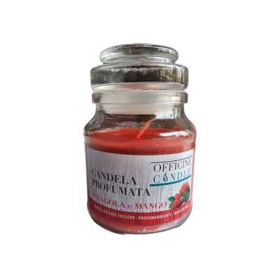Candela profumata Fragola e Mango con bicchiere cm. 7x10