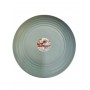 Piatto CLASSIC 25 CM VERDE  441 F18 JAR