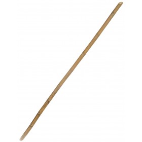 Canna di bamboo stagionata 2 anni cm. 5,5x230h. Canna di bamboo stagionata 2 anni cm. 5,5x230h.